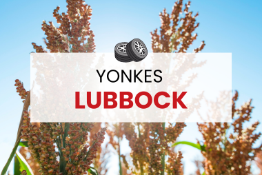 Yonkes Lubbock